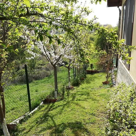 Semesterbostad Yellow Fani