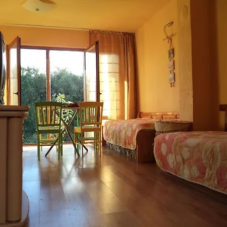 Yellow Fani Sinemoretz