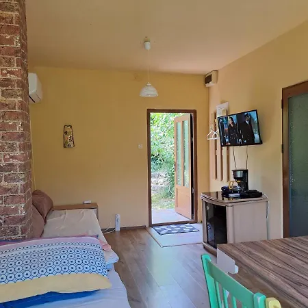 Yellow Fani Sinemoretz