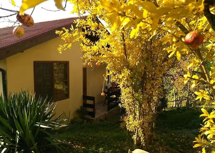 Yellow Fani Szinemorec