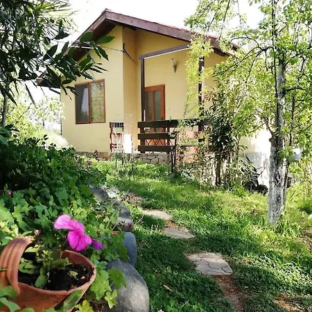 度假居 Yellow Fani 辛尼莫雷特