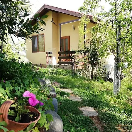 Holiday home Yellow Sinemoretz