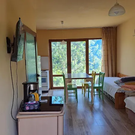 Yellow Fani Синеморец