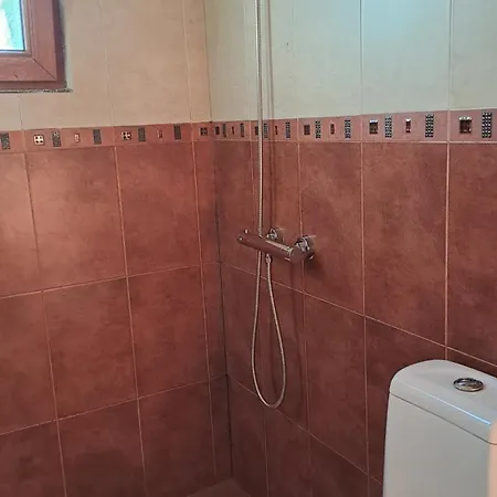 Yellow Fani Синеморец