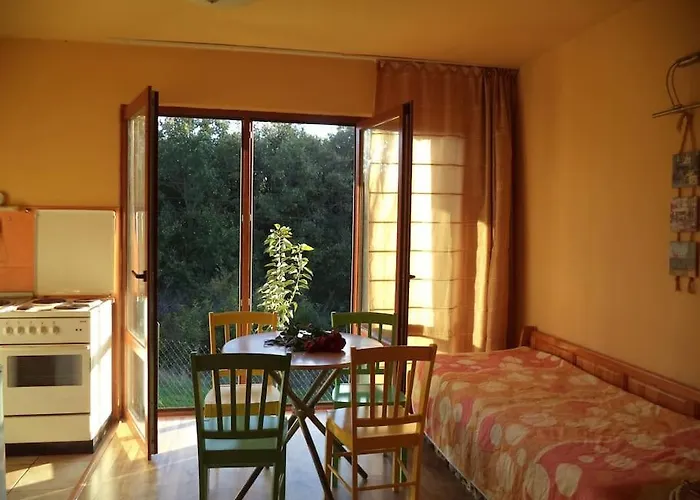 Nyaraló Yellow Fani *