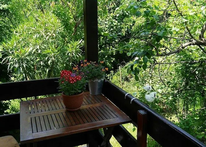 Yellow Fani Szinemorec