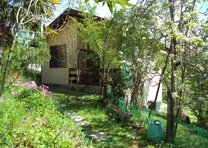 Yellow Fani Nyaraló Szinemorec