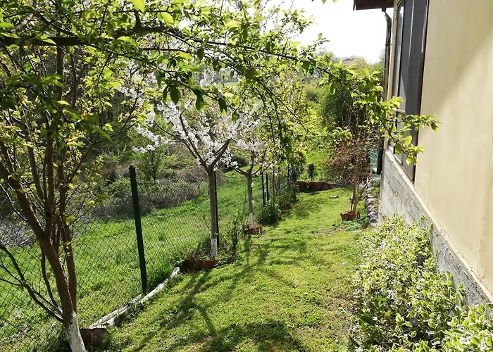 Nyaraló Yellow Fani