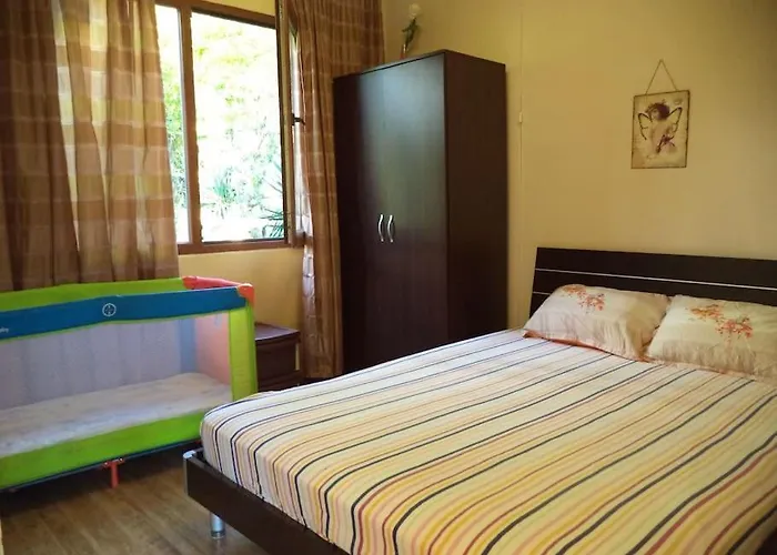 Yellow Fani Nyaraló *