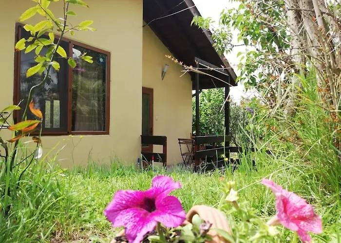 Yellow Fani Szinemorec