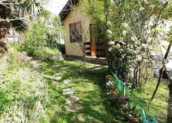 Yellow Fani Nyaraló Szinemorec